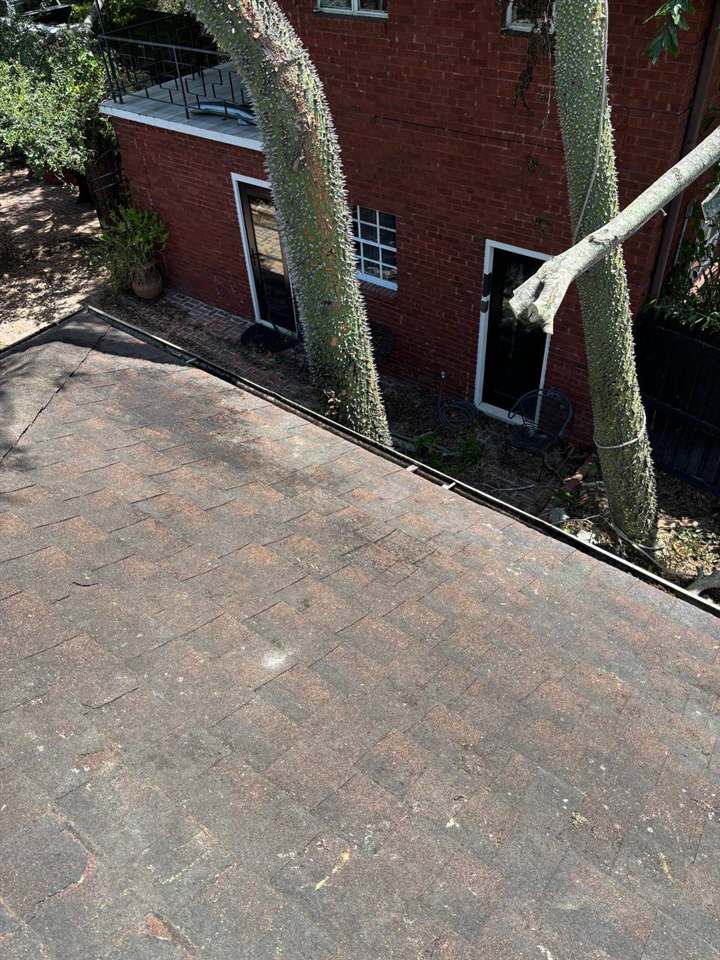 Rigged limb removal with rope and ladder